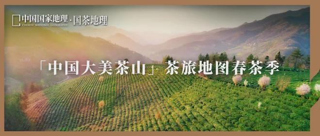 茶香醉人紫阳富硒茶(紫阳富硒绿茶价格)-硒宝网