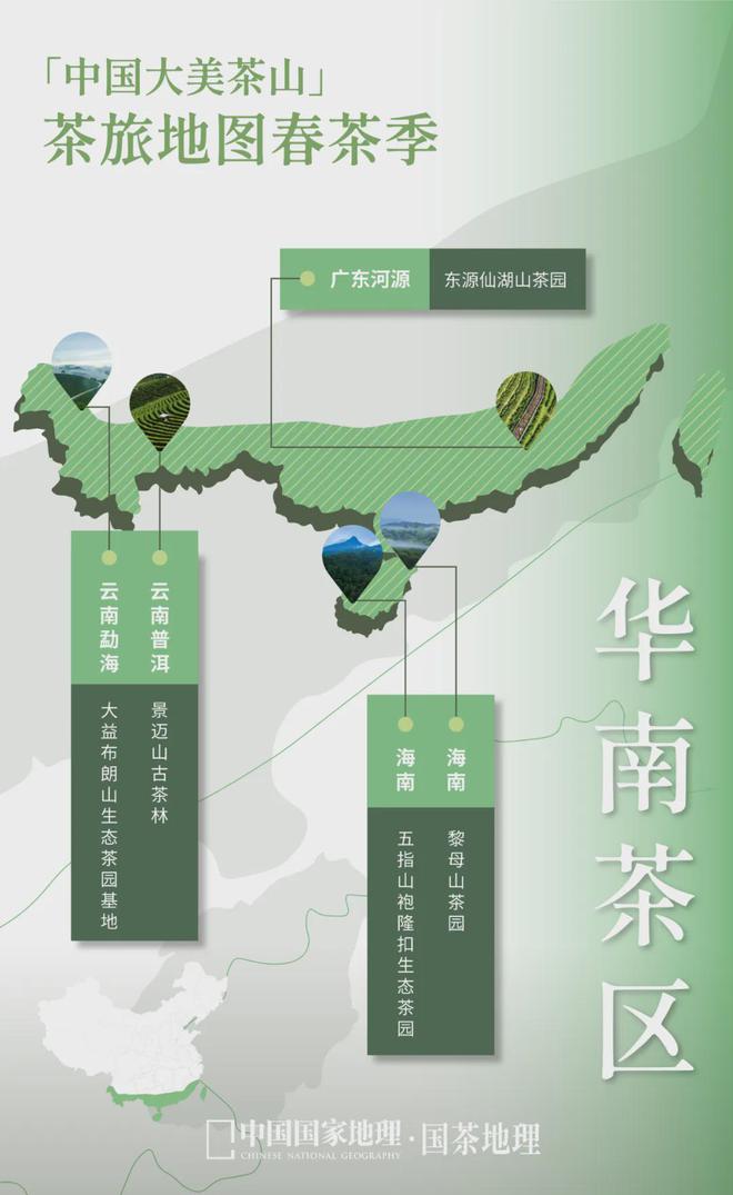 茶香醉人紫阳富硒茶(紫阳富硒绿茶价格)-硒宝网