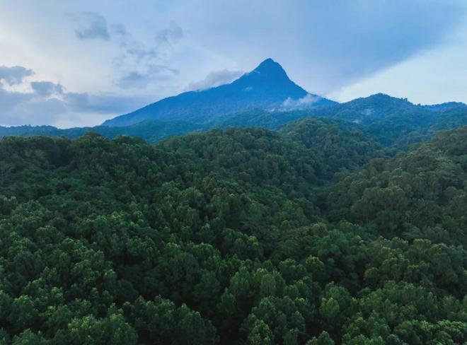 茶香醉人紫阳富硒茶(紫阳富硒绿茶价格)-硒宝网