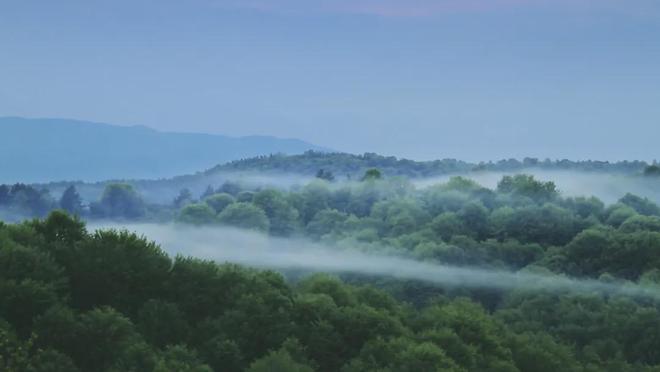 茶香醉人紫阳富硒茶(紫阳富硒绿茶价格)-硒宝网