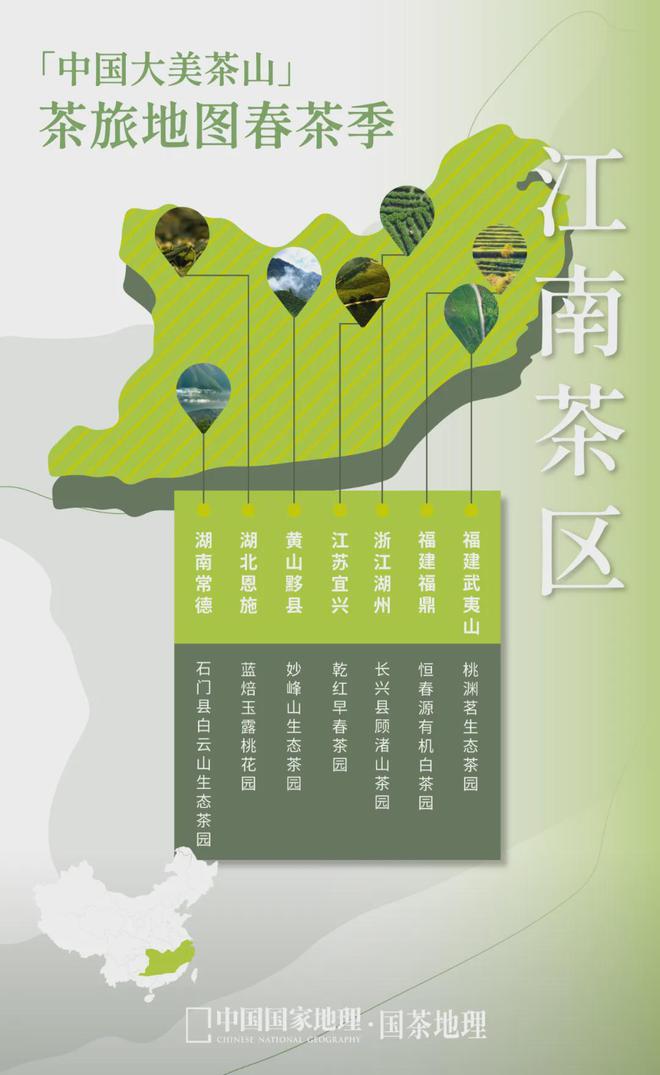 茶香醉人紫阳富硒茶(紫阳富硒绿茶价格)-硒宝网