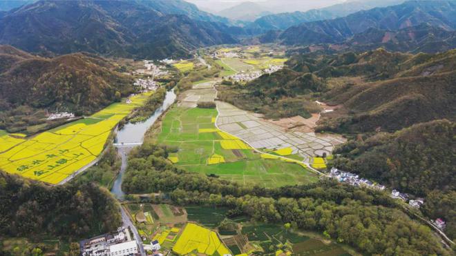 茶香醉人紫阳富硒茶(紫阳富硒绿茶价格)-硒宝网