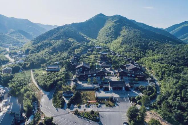 茶香醉人紫阳富硒茶(紫阳富硒绿茶价格)-硒宝网