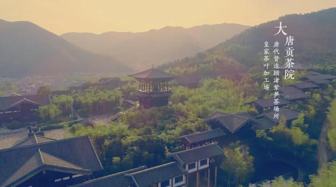 茶香醉人紫阳富硒茶(紫阳富硒绿茶价格)-硒宝网