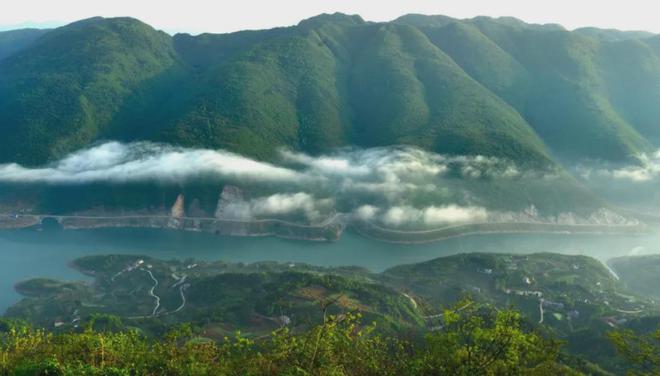 茶香醉人紫阳富硒茶(紫阳富硒绿茶价格)-硒宝网