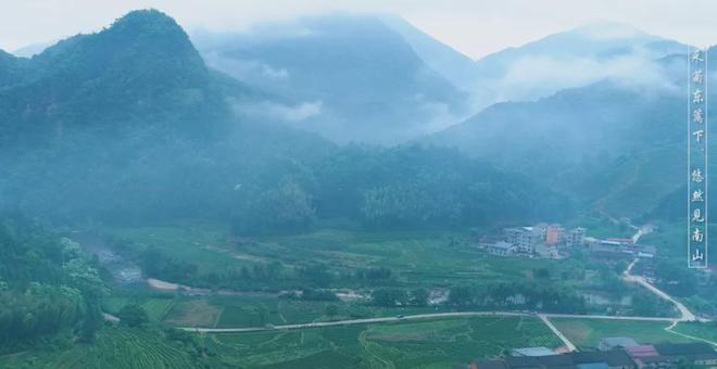 茶香醉人紫阳富硒茶(紫阳富硒绿茶价格)-硒宝网