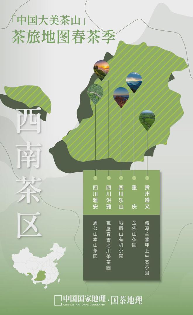 茶香醉人紫阳富硒茶(紫阳富硒绿茶价格)-硒宝网