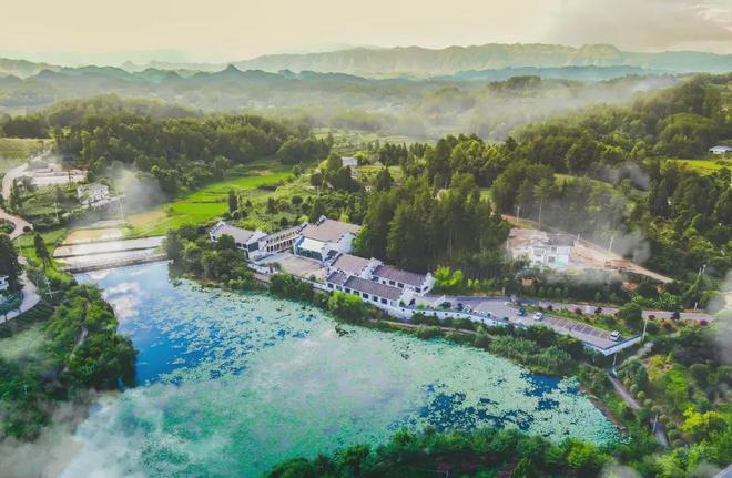 茶香醉人紫阳富硒茶(紫阳富硒绿茶价格)-硒宝网