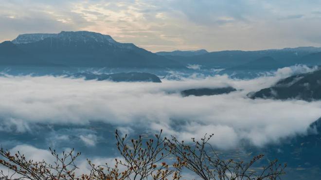 茶香醉人紫阳富硒茶(紫阳富硒绿茶价格)-硒宝网