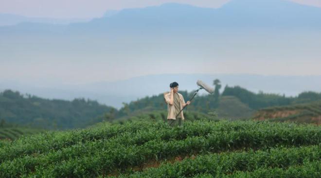 茶香醉人紫阳富硒茶(紫阳富硒绿茶价格)-硒宝网