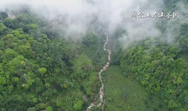 茶香醉人紫阳富硒茶(紫阳富硒绿茶价格)-硒宝网