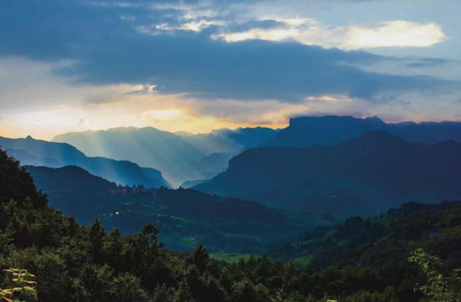 茶香醉人紫阳富硒茶(紫阳富硒绿茶价格)-硒宝网