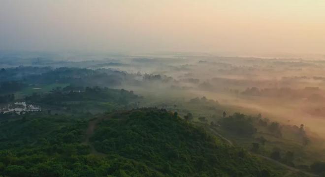 茶香醉人紫阳富硒茶(紫阳富硒绿茶价格)-硒宝网