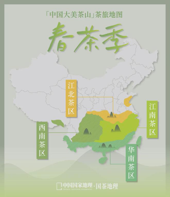 茶香醉人紫阳富硒茶(紫阳富硒绿茶价格)-硒宝网