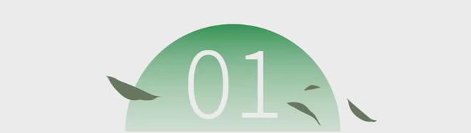 茶香醉人紫阳富硒茶(紫阳富硒绿茶价格)-硒宝网