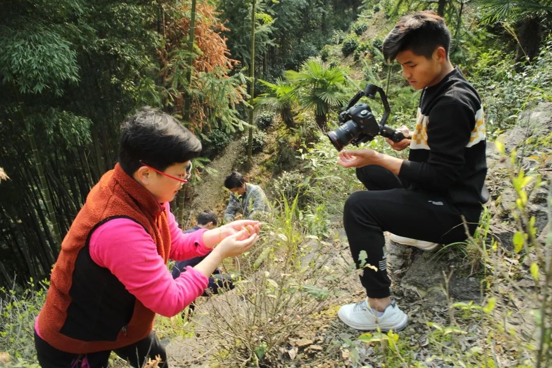 黄山富硒茶和歙县茶（黄山富硒乡）-硒宝网