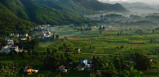 贵州凤冈富锌富硒茶(贵州凤冈锌硒茶价格)-硒宝网