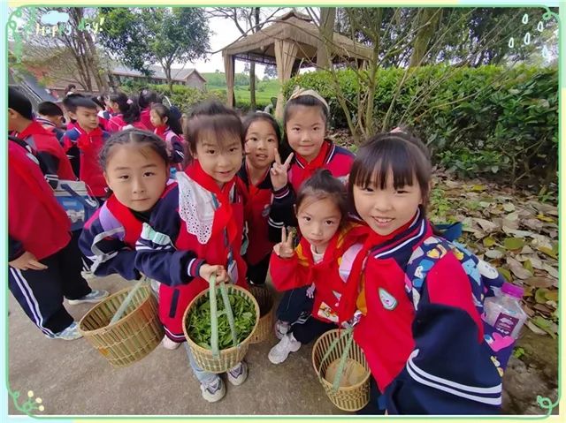 开阳富硒茶是什么茶(开阳富硒茶t6体验店)-硒宝网