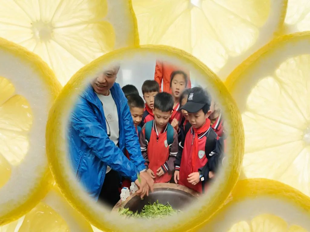 开阳富硒茶是什么茶(开阳富硒茶t6体验店)-硒宝网