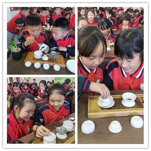 开阳富硒茶是什么茶(开阳富硒茶t6体验店)-硒宝网