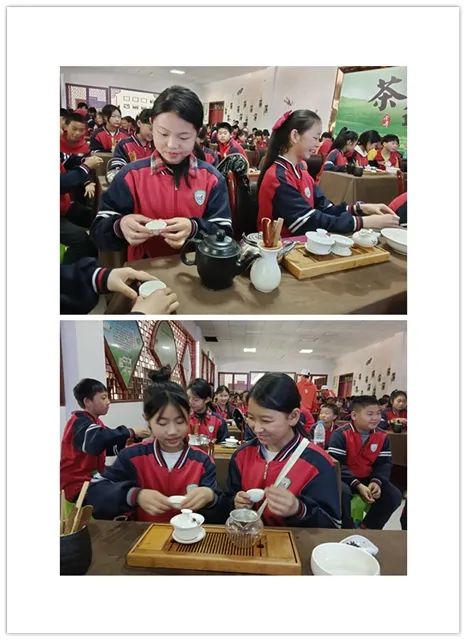 开阳富硒茶是什么茶(开阳富硒茶t6体验店)-硒宝网