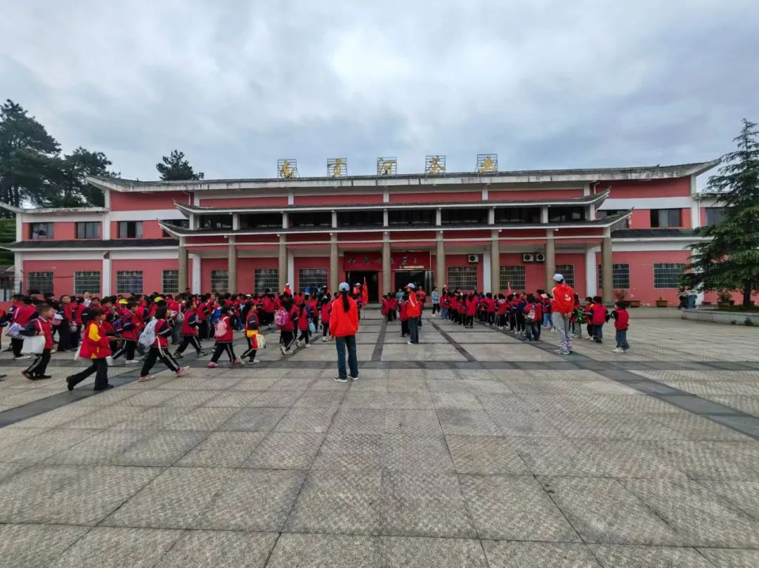 开阳富硒茶是什么茶(开阳富硒茶t6体验店)-硒宝网