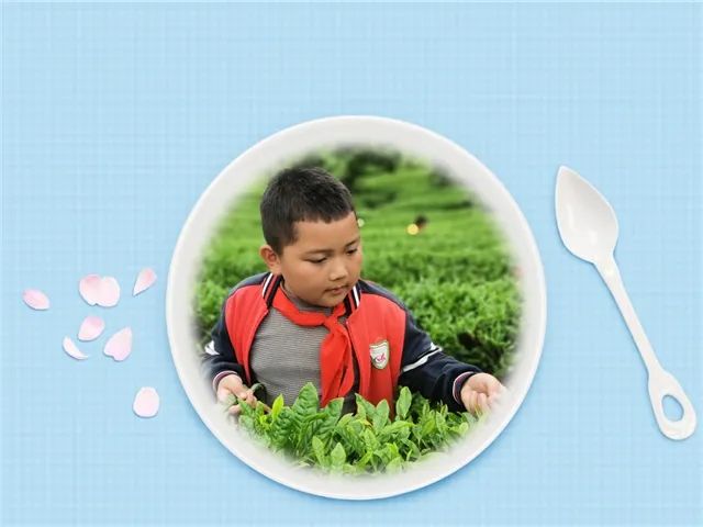 开阳富硒茶是什么茶(开阳富硒茶t6体验店)-硒宝网