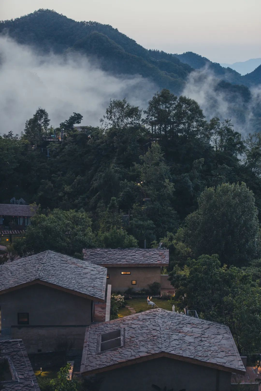 茶香醉人紫阳富硒茶（紫阳富硒茶多少钱一斤）-硒宝网