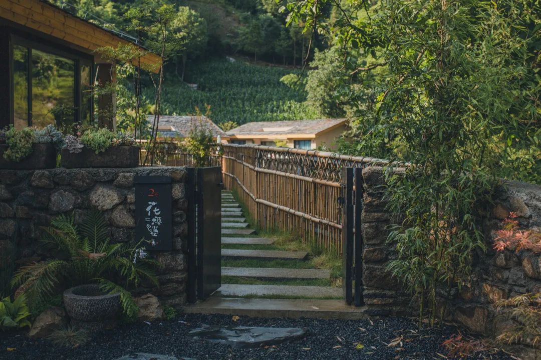 茶香醉人紫阳富硒茶（紫阳富硒茶多少钱一斤）-硒宝网