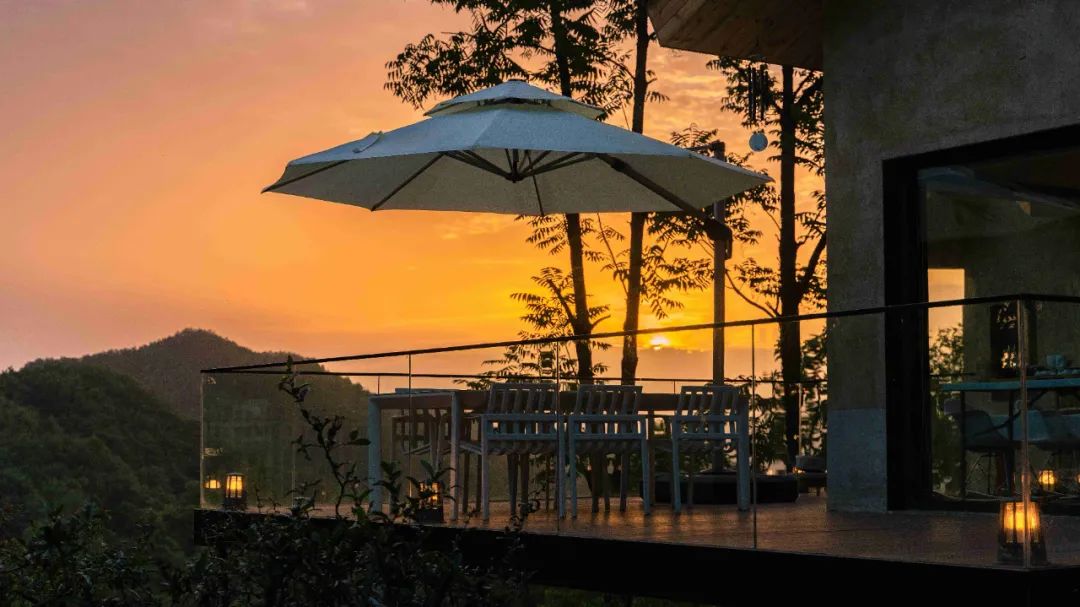 茶香醉人紫阳富硒茶（紫阳富硒茶多少钱一斤）-硒宝网