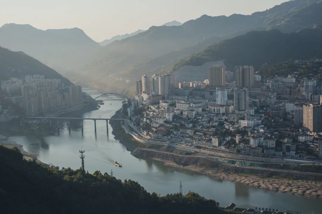 茶香醉人紫阳富硒茶（紫阳富硒茶多少钱一斤）-硒宝网