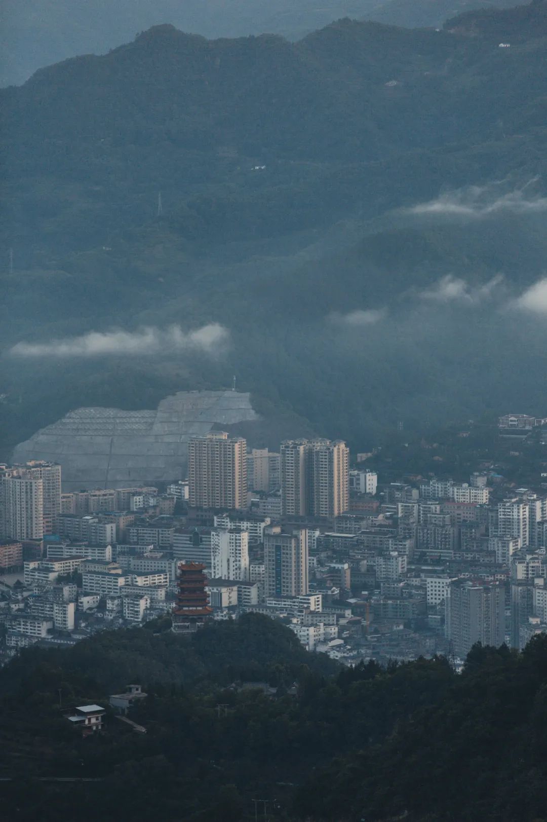 茶香醉人紫阳富硒茶（紫阳富硒茶多少钱一斤）-硒宝网