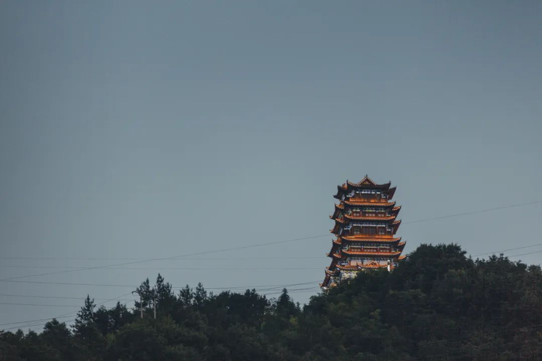 茶香醉人紫阳富硒茶（紫阳富硒茶多少钱一斤）-硒宝网