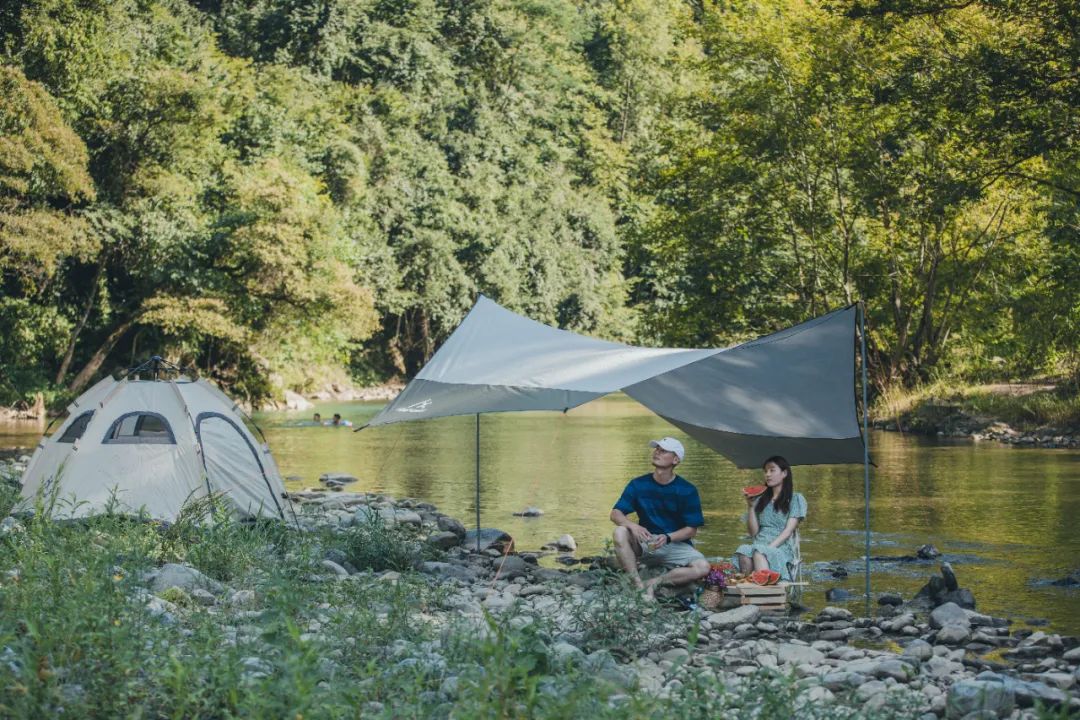 茶香醉人紫阳富硒茶（紫阳富硒茶多少钱一斤）-硒宝网