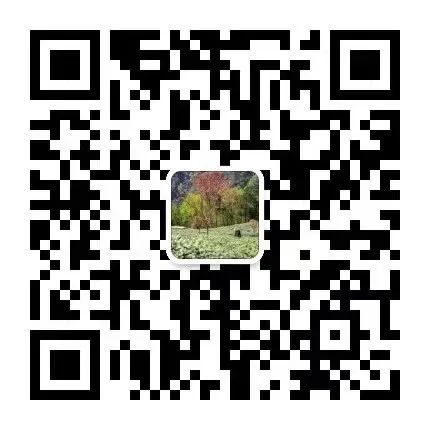 茶香醉人紫阳富硒茶（紫阳富硒茶多少钱一斤）-硒宝网