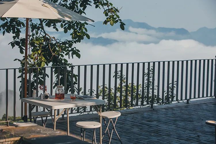 茶香醉人紫阳富硒茶（紫阳富硒茶多少钱一斤）-硒宝网