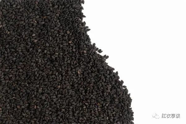 什么水果补铁(吃啥水果补铁)-硒宝网