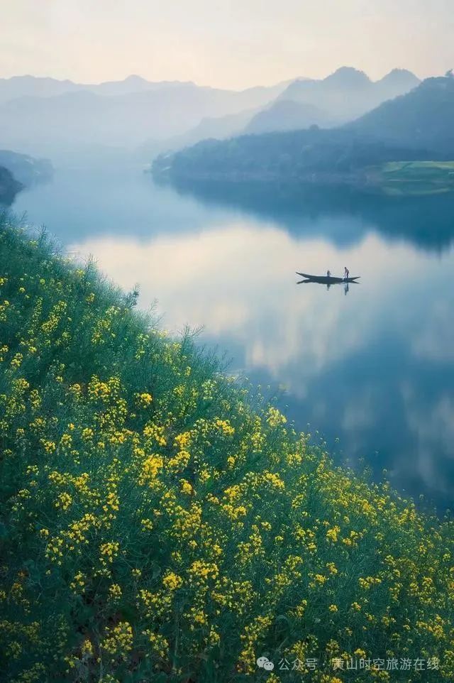 黄山富硒茶和歙县茶（黄山歙县茶叶）-硒宝网