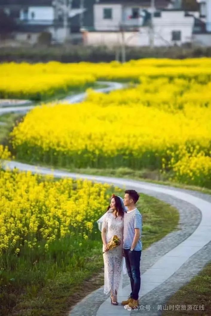 黄山富硒茶和歙县茶（黄山歙县茶叶）-硒宝网