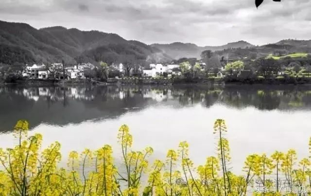 黄山富硒茶和歙县茶（黄山歙县茶叶）-硒宝网