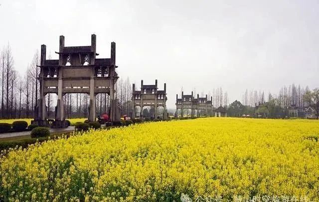 黄山富硒茶和歙县茶（黄山歙县茶叶）-硒宝网