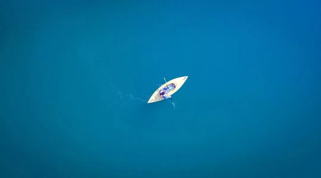 黄山富硒茶和歙县茶（黄山歙县茶叶）-硒宝网