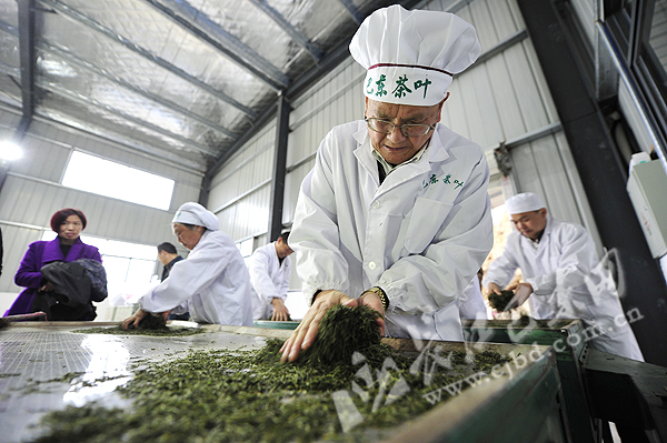 恩施富硒茶是什么茶(恩施富硒茶硒含量)-硒宝网