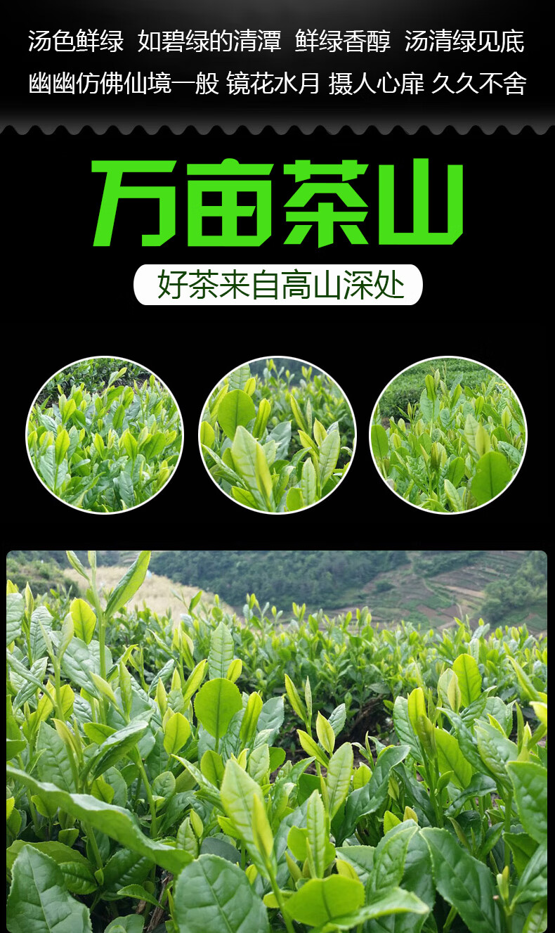 安康富硒茶和平利茶(陕西安康富硒茶功效)-硒宝网