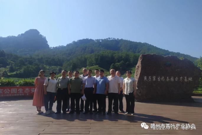 富硒黄金茶是什么茶(茶黄金富硒是什么味道)-硒宝网