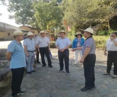 富硒黄金茶是什么茶(茶黄金富硒是什么味道)-硒宝网