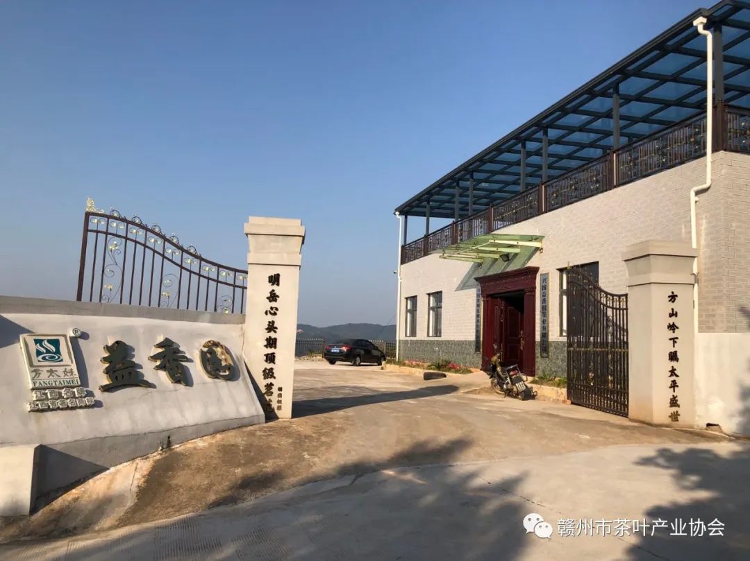 富硒黄金茶是什么茶(茶黄金富硒是什么味道)-硒宝网