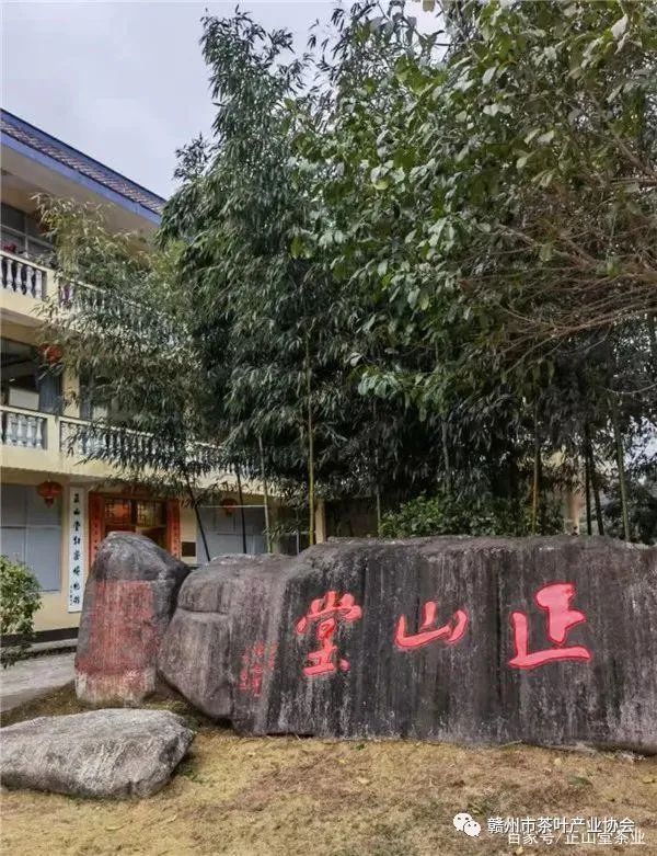 富硒黄金茶是什么茶(茶黄金富硒是什么味道)-硒宝网