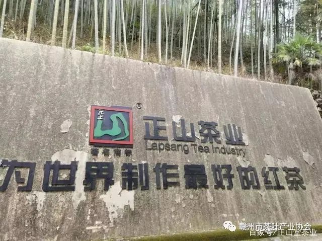 富硒黄金茶是什么茶(茶黄金富硒是什么味道)-硒宝网