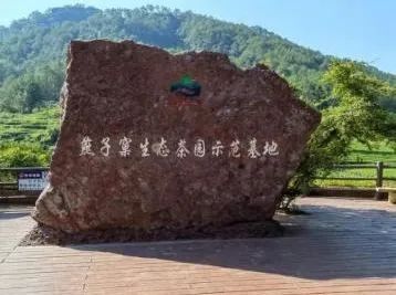 富硒黄金茶是什么茶(茶黄金富硒是什么味道)-硒宝网